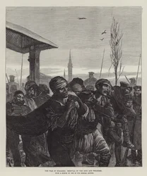 The War in Bulgaria, Removal of the Sick and Wounded